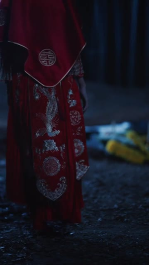 画中妻（30集）精彩短剧免费看