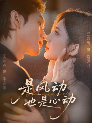 是风动也是心动（60集）温柔追捕短剧