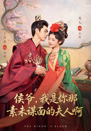 侯爷我是你那素未谋面的夫人啊（80集）免费短剧就是爽