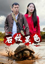 石纹灵龟（30集）好看的短剧