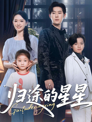 归途的星星（100集）精彩短剧看全集