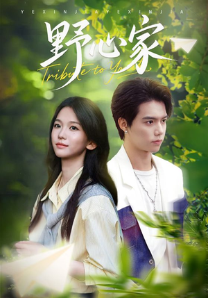 野心家（65集）短剧介绍