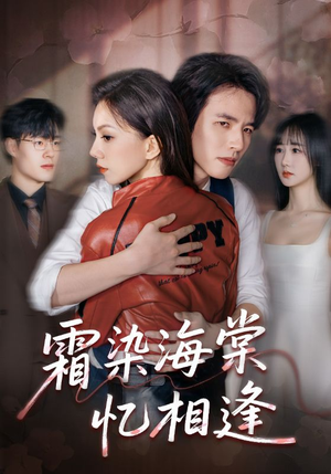 霜染海棠忆相逢（72集）好看短剧追不停