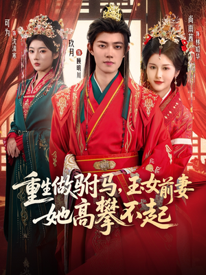 重生做驸马，玉女前妻她高攀不起（79集）评价怎么样