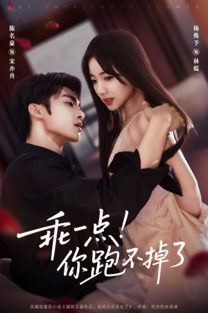 乖一点！你跑不掉了（80集）在哪个平台看好