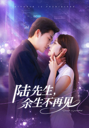 陆先生，余生不再见（88集）在线观看完整版