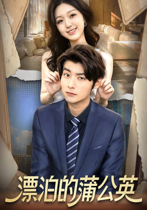 漂泊的蒲公英（60集）精彩片段