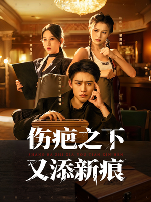 伤疤之下又添新痕（60集）在哪看