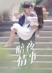 暗夜情事（100集）短剧精彩片段