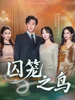 囚笼之鸟(52集) 囚笼之鸟(52集)热播短剧追不停
