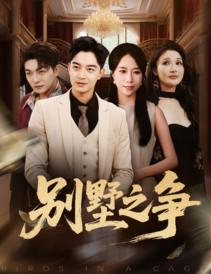 别墅之争（59集）短剧全集免费看