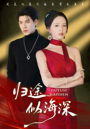 归途似海深（61集）完整版