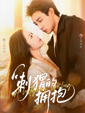 刺猬的拥抱（71集）好看吗