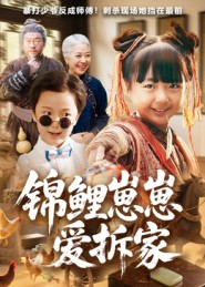 锦鲤崽崽爱拆家（80集）每日短剧推荐