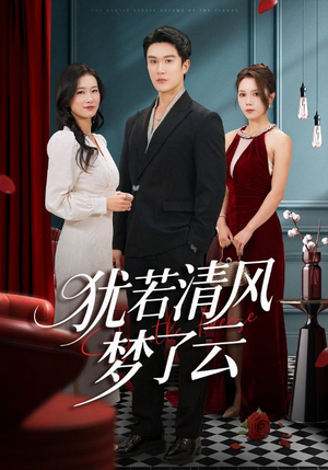 犹若清风梦了云（66集）精彩短剧来了