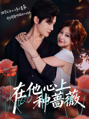 在他心上种蔷薇（81集）爆款短剧一起追
