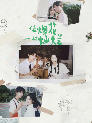 像烟花一样灿烂（60集）直接追到结尾