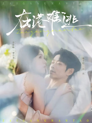 在港难逃（75集）免费看短剧全集