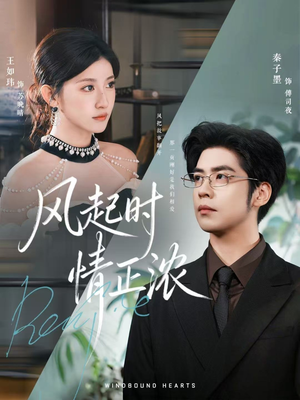 风起时情正浓（79集）最新上映的短剧