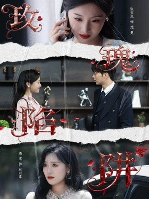 玫瑰陷阱（40集）全集免费观看