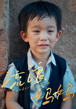 流浪妈妈（30集）热门短剧抢先