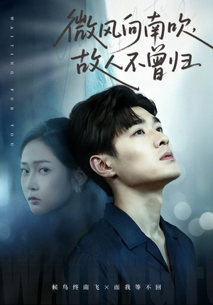 微风向南吹，故人不曾归（72集）好看短剧推荐