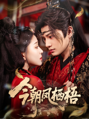 今朝凤栖梧（68集）精彩的短剧