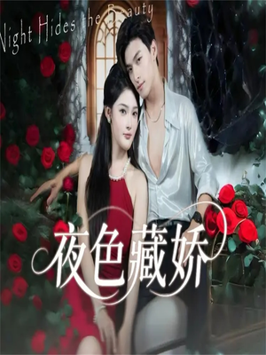 夜色藏娇（65集）精彩短剧追不停