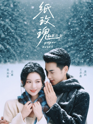 纸玫瑰第二部（80集）在线看完整版