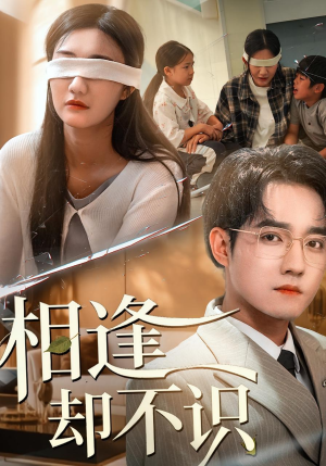 相逢却不识（77集）在线观看