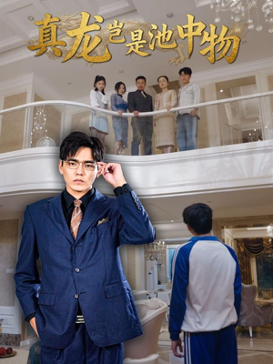 真龙岂是池中物（80集）爆火短剧抢先看