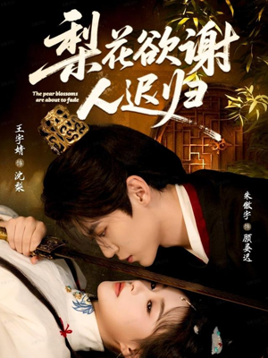 梨花欲谢人迟归（60集）好看上头的短剧