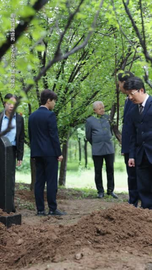 正义的裁决（84集）在线观看