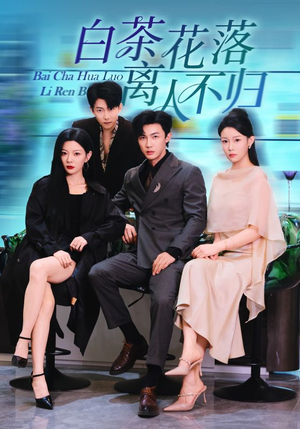 白茶花落离人（51集）看精彩短剧