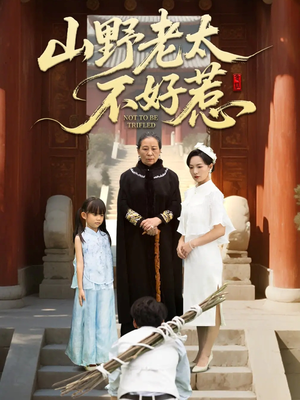 奶奶一脚震全城（64集）一口气看完