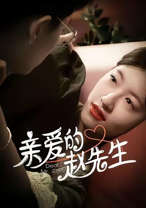 亲爱的赵先生（100集）在线看免费版