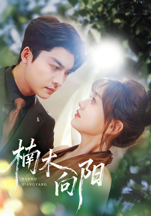 楠木向阳（70集）好短剧分享