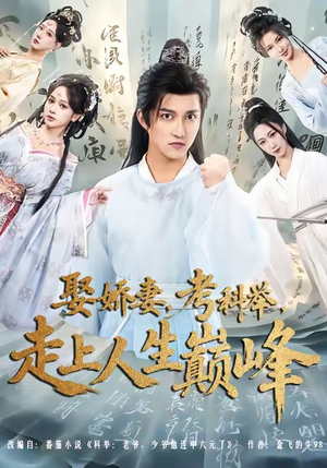 娶娇妻，考科举，走上人生巅峰（80集）温柔追捕短剧