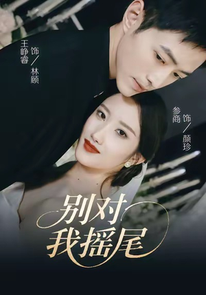 别对我摇尾（59集）在哪看