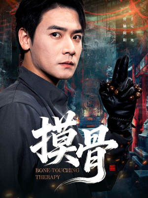 摸骨（74集）全集一网打尽