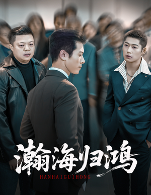 瀚海归鸿（74集）海量短剧免费看