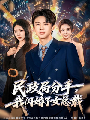 民政局分手，我闪婚了女总裁（72集）全集完整版