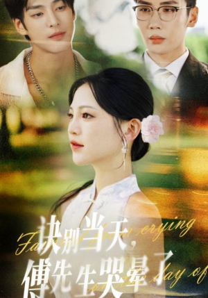 诀别当天傅先生哭晕了（62集）免费短剧看全集