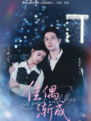 佳偶渐成（71集）百度网盘在线看