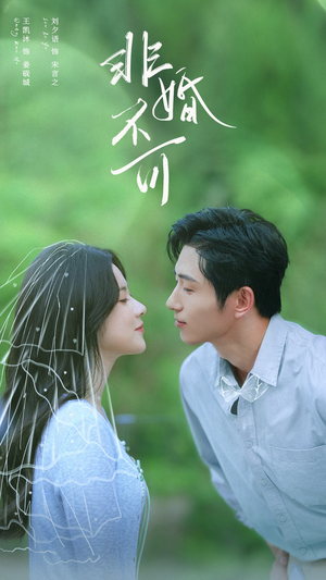 非婚不可（65集）热门短剧推荐