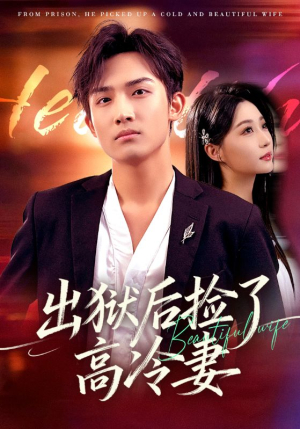 出狱后捡了高冷妻（71集）在哪里可以看