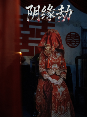 阴缘劫（25集）网上可以看吗