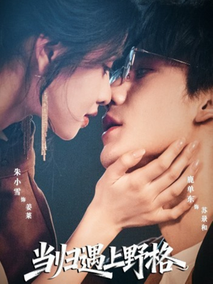 当归遇上野格（66集）第一季