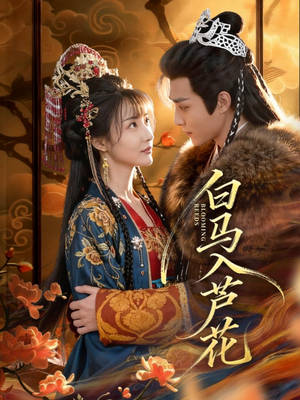 白马入芦花（59集）热播短剧分享