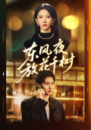 东风夜放花千树（91集）精彩短剧热播